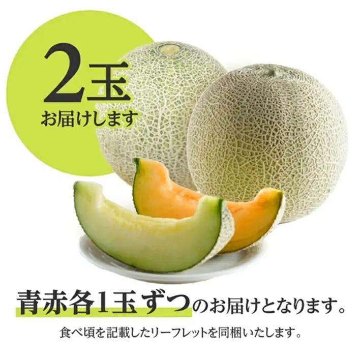 SA2979　メロン食べ比べ『品種おまかせ(青肉・赤肉)メロン 』　約3kg 計2玉(各1玉入)