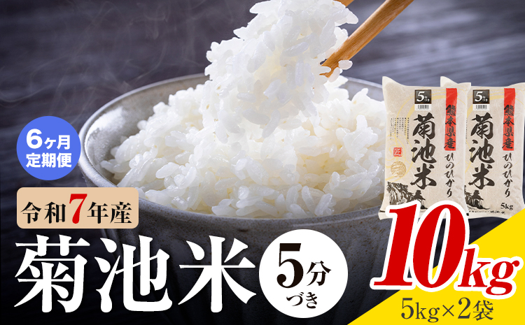 【6ヶ月定期便】令和7年産 熊本県産 菊池米 5分づき 10kg 1袋5kg 株式会社くまもとごはん 《お申込み翌月に出荷予定》米 お米 令和7年産 九州産 熊本県産  送料無料---026-3129