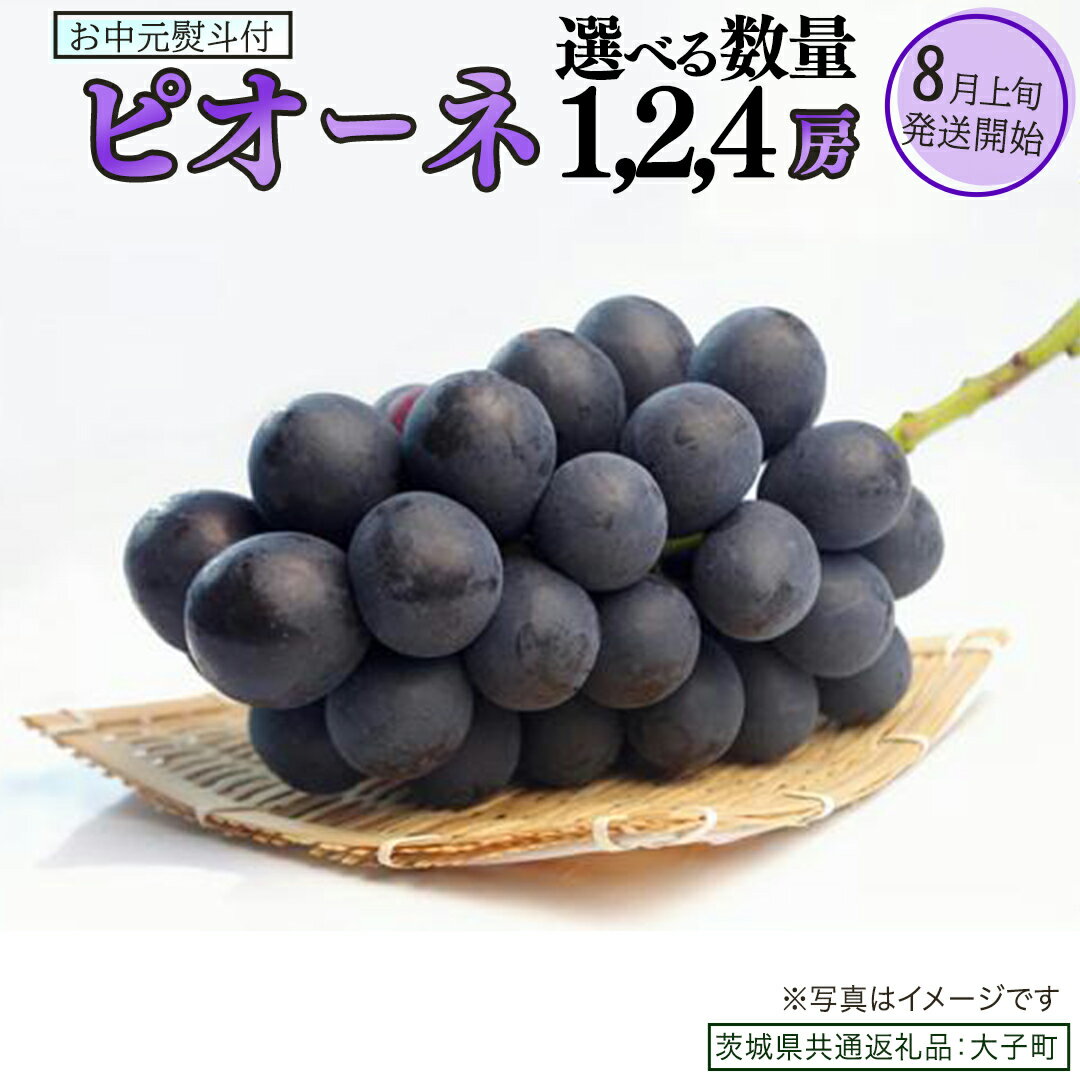 【ふるさと納税】【 選べる 房数 】【 お中元 熨斗付き 】 ピオーネ 1房 2房 4房 【2026年8月上旬発送開始】(茨城県共通返礼品：大子町) ブドウ ぶどう 葡萄 ピオーネ 果物 フルーツ 果実