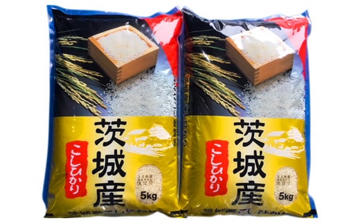 新米【令和7年産】お米の王様！茨城県産 コシヒカリ 白米 10kg (5kg×2袋)｜おこめ 精米 こしひかり 直送 稲敷 茨城 [1650]