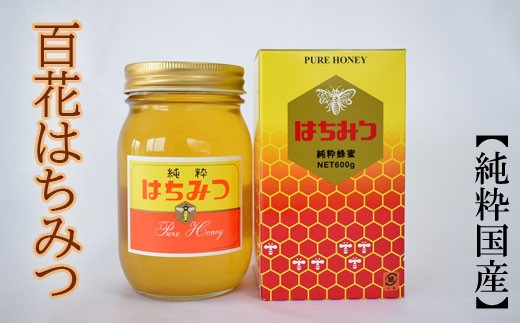 ［純粋国産］和歌山県産百花はちみつ600g※2027年1月中旬～2027年1月下旬頃に発送予定【tec603-600-hyaku】