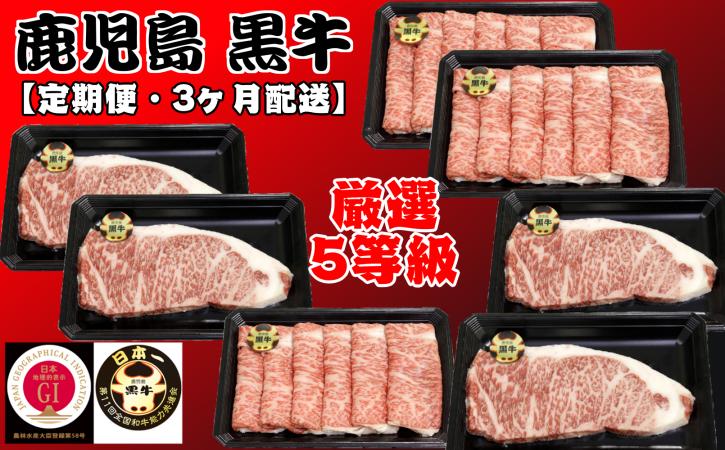 【 定期便 】 鹿児島 黒牛 5等 級 だけ の 【 厳選 ・ 黒牛 セット 】 3ヶ月 ｺｰｽ　NFN167 【3000pt】