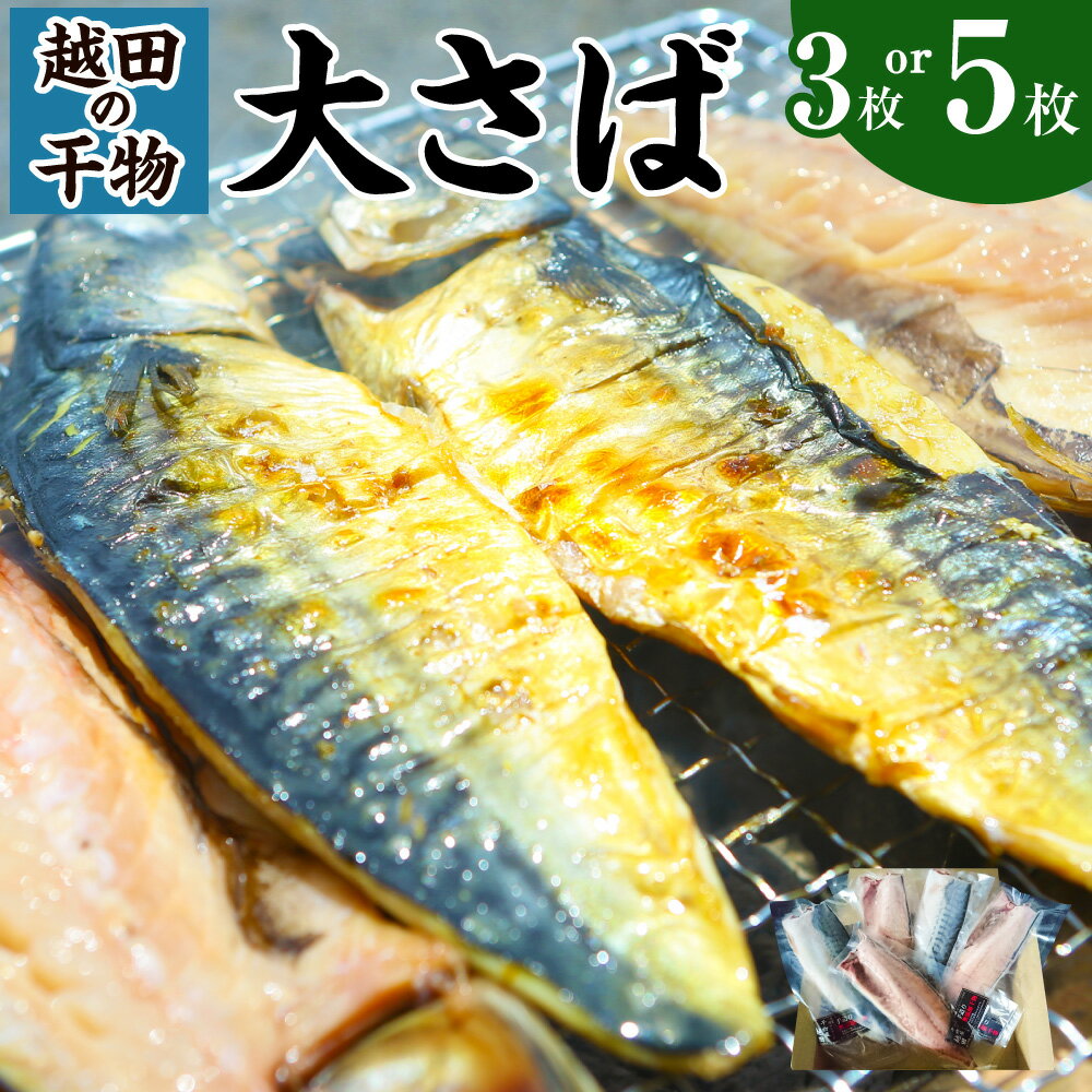 【ふるさと納税】＜選べる容量＞ 越田の干物 大さば 3枚 または 5枚 セット 魚 鯖 文化干し 塩 さば サバ 干物 神栖市 茨城県 送料無料