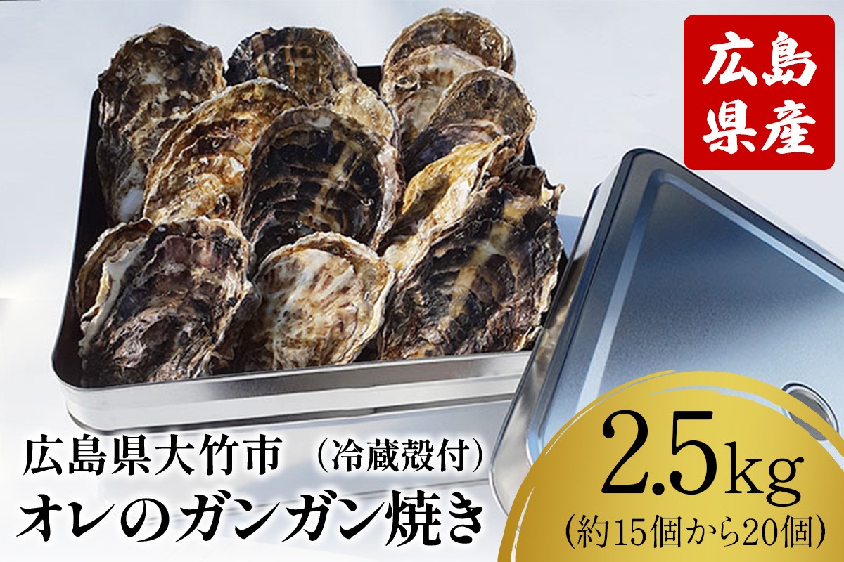 
                  [2027年1月8日より発送！] オレのガンガン焼き 広島県大竹市産 冷蔵殻付牡蠣 2.5kg (約15個から20個)｜かき 貝 シーフード オイスター 海鮮 魚介類 濃厚 海の幸 貝類 BBQ バーベキュー カンカン焼き おおたけカキ 特大サイズ 広島 大竹市 玖波 宮島 [2623]
                