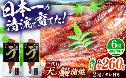 【6回定期便】土佐料理司 三代目天の鰻蒲焼2尾セット 高知市 春野町産 【株式会社土佐料理司】 [ATAD060]　うなぎ 鰻 ウナギ  国産 うなぎ蒲焼 高知 うな重 うな丼 ひつまぶし 鰻蒲焼き