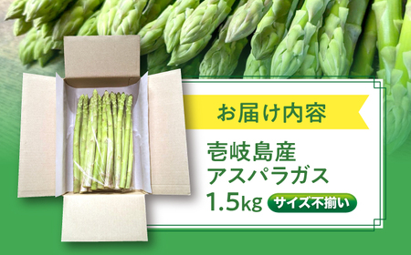 【訳あり】【先行予約】アスパラガス1.5kg 壱岐産 【2026年8月以降順次発送】[JGI005] アスパラ