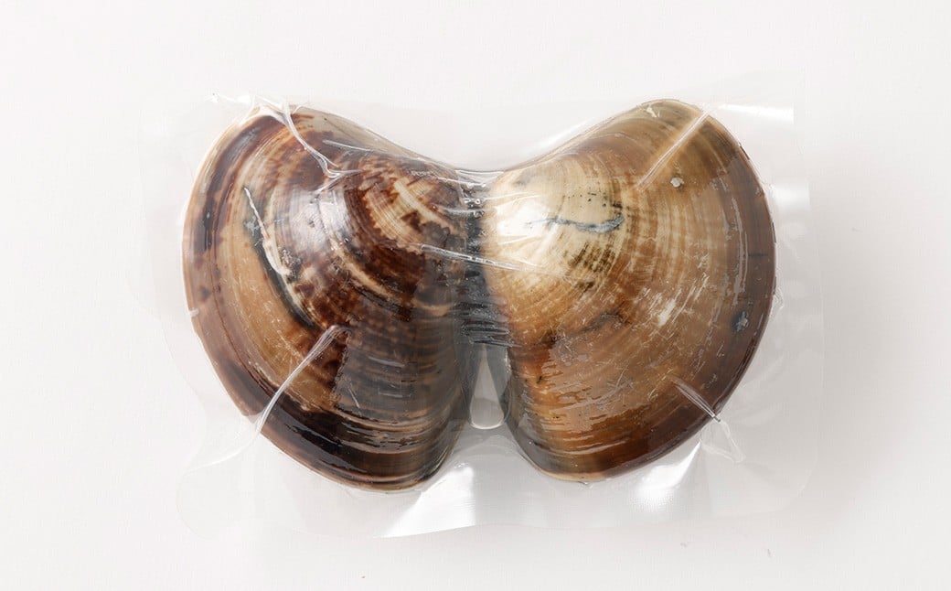 5年もの 桑名産 はまぐり 2粒×9個入 計18粒（ レトルト ）