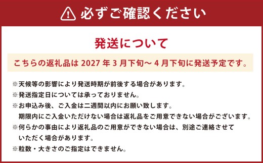 新玉ねぎ
