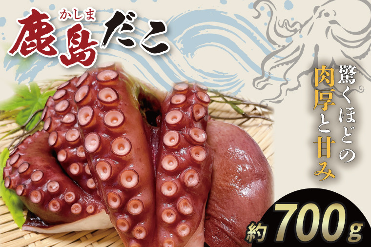 
                  鹿島だこ タコ 鹿島灘 国産 鹿嶋産 蛸 刺身 刺し身 マダコ 肉厚 旨味 たこ焼き たこやき たこ飯 たこめし たこ刺し カルパッチョ 酢の物 まだこ サラダ パスタ チャーハン 唐揚げ 人気 おすすめ おつまみ 海鮮 魚介 ふるさと納税 茨城県 鹿嶋市
                