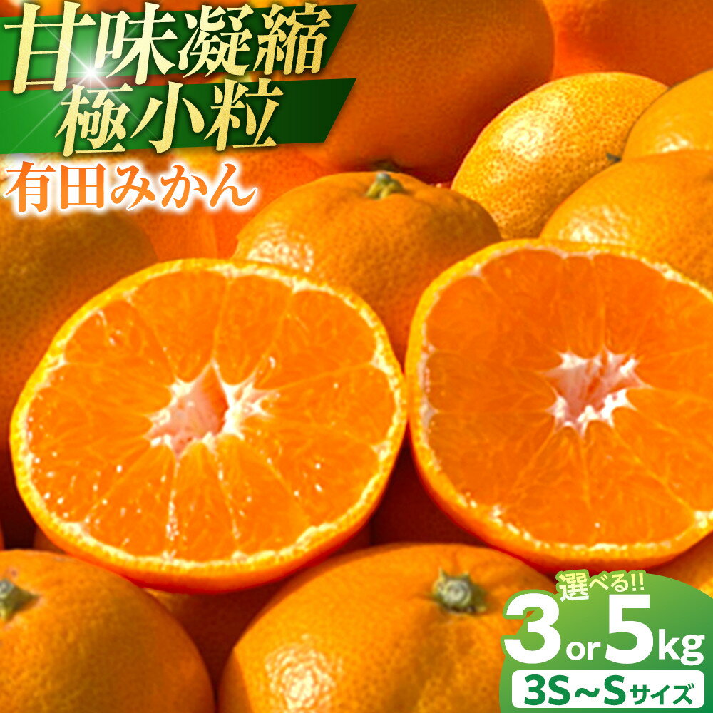 【ふるさと納税】【選べる内容量・3kg または 5kg】 和歌山県 有田みかん ひとくち 甘味凝縮 極小粒 産直45年 5代目 武内園 完熟蜜柑 | 有田川町 老舗農園 完熟 小粒 人気 おすすめ みかん 柑橘 果物 フルーツ 産地直送 家庭用 箱入り ふるさと納税