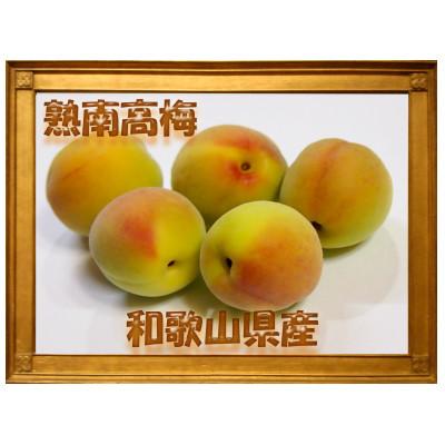 ふるさと納税 かつらぎ町 【梅干・梅酒用】(4Lまたは3L-約10kg)熟南高梅《2025年6月上旬〜7月上旬発送予定》