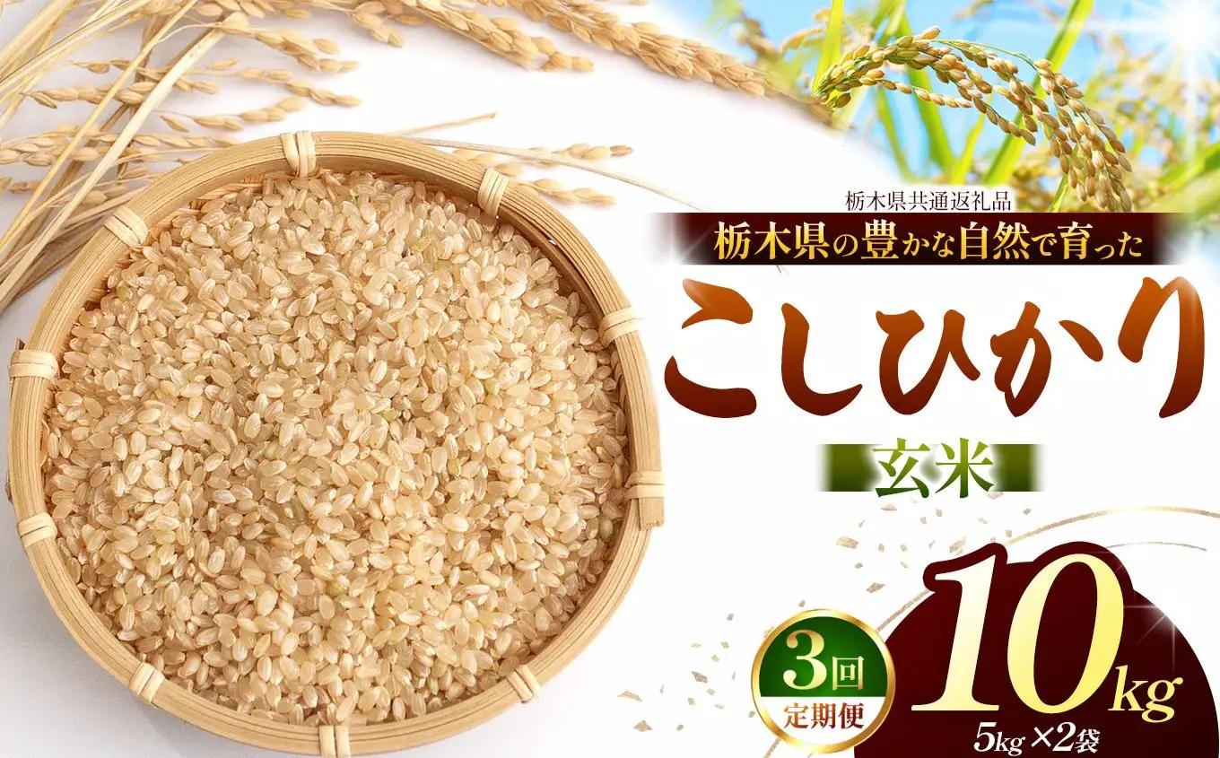 【栃木県共通返礼品】【定期３回】【令和８年度産】コシヒカリ 10kg お米 米 | 栃木県 那珂川町 送料無料