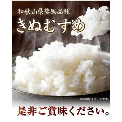 ふるさと納税 紀の川市 前田農園のキヌムスメ 5kg 和歌山県紀の川市【白米】