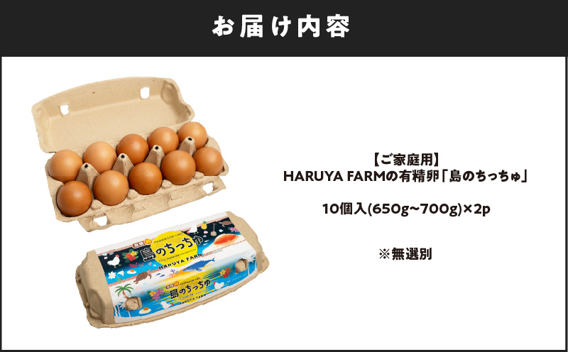 【ご家庭用】HARUYA FARMの有精卵「島のちっちゅ」　W065-001-02