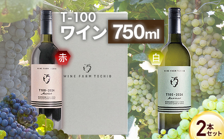 24-07B T100 ワイン750ml×2本セット【ワインファームとちお】