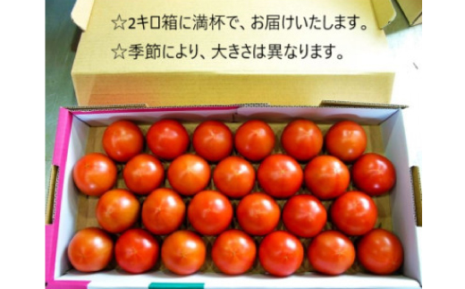 フルーツトマト(深層水トマト)2キロ【濃厚な甘みと旨み】【配送不可地域：離島】