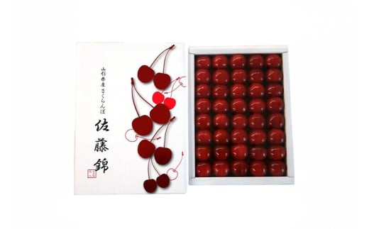 【期間限定発送】 さくらんぼ 置賜産 佐藤錦 特秀 L～3L 500g 化粧箱入り [JA山形おきたま 山形県 高畠町 tk06ays870012] サクランボ チェリー 山形 果物 フルーツ くだもの