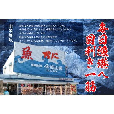 ふるさと納税 香美町 魚屋さん自家製 地魚の漬け魚 2種詰め合わせ(西京漬け)各1P 計2P 冷凍 |  | 02