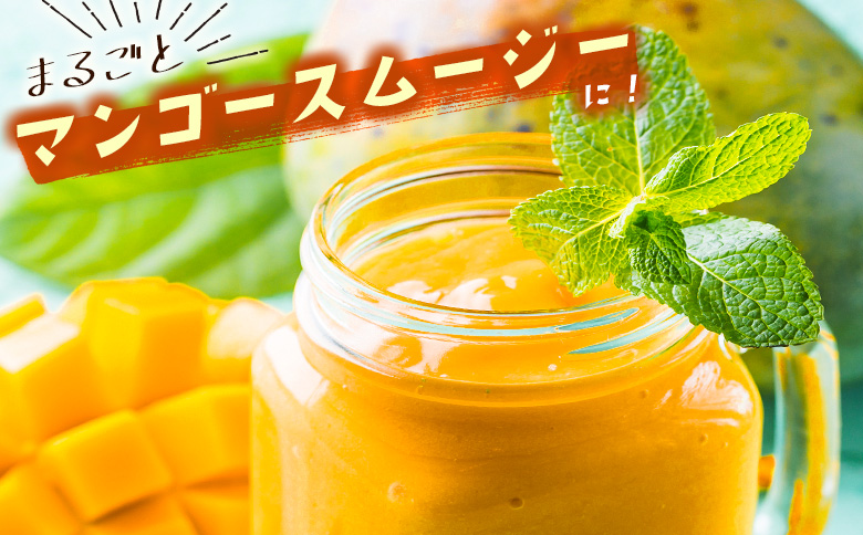 数量限定 宮崎県産 完熟マンゴー＜太陽のタマゴ＞2L×3玉（計1kg以上）※2027年4月下旬配送開始 化粧箱入 フルーツ くだもの【E167-27】