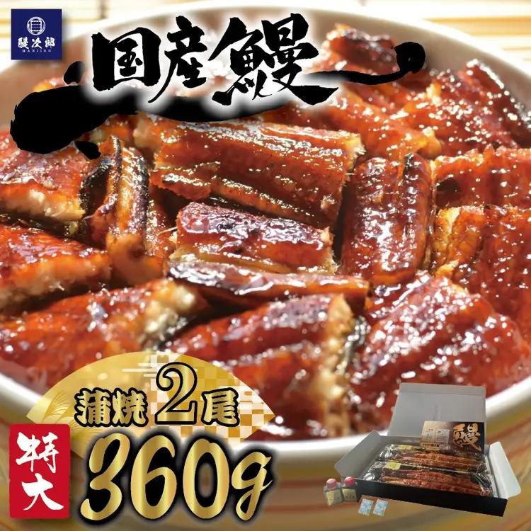 [特大] 国産 関西風地焼き うなぎ【蒲焼】2尾 360g以上｜ うなぎ 泉大津 鰻 蒲焼き 冷凍鰻 活鰻 鰻次郎 うな重 土用の丑の日 お取り寄せ 高級 うなぎの日 ウナギ unagi [4694