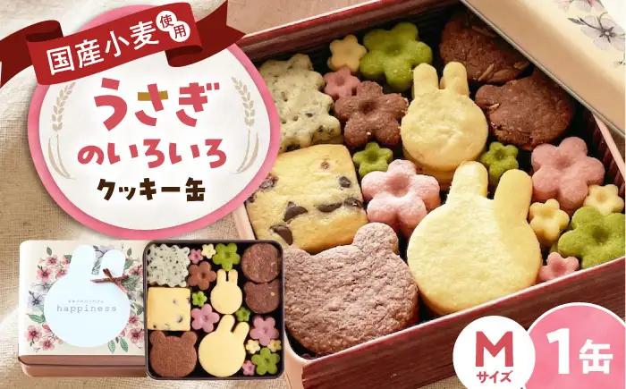 クッキー缶 うさぎのいろいろクッキー缶M BLAH004