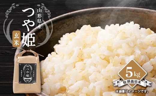 
            山形県川西町産　つや姫　玄米5kg【1462379】
          