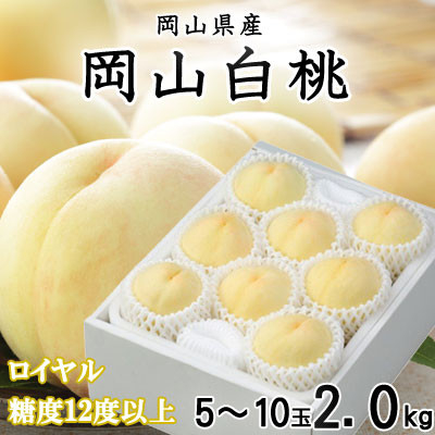 
            ＜先行受付＞岡山白桃 ロイヤル 5～10玉 2kg 岡山県産【1305708】
          