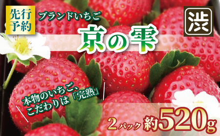 先行受付 京都のブランドいちご 京の雫 約520g 260g×2パック 2025年12月?翌年5月発送 【いちご】