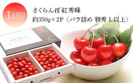 2026年度発送【定期便 3回】山形県産 実は人気な果物定期便 くだもの フルーツ さくらんぼ 紅秀峰 桃 もも ラ・フランス ラフランス 洋梨 梨 りんご サンふじ 山形県 中山町 F4A-0419