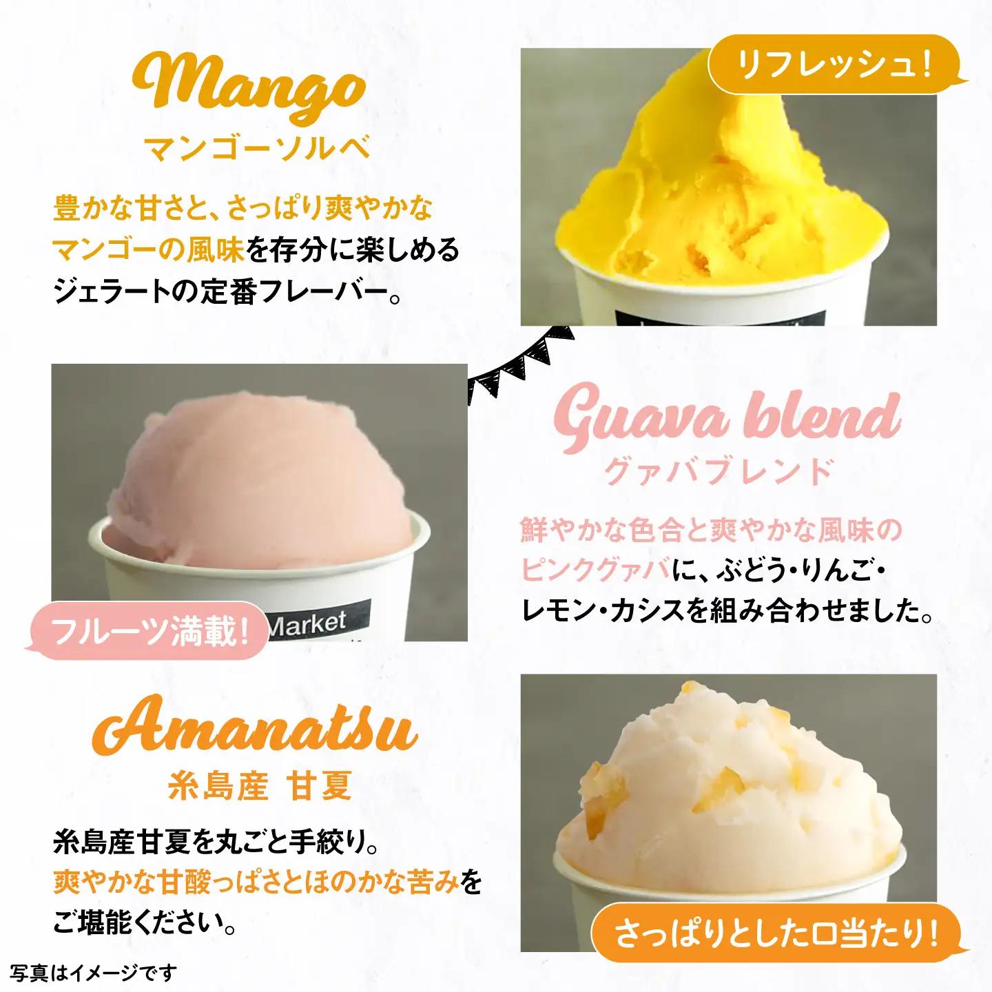 【夏季限定】行列のできるアイスクリーム屋 ジェラートボトル10個セット（5種×各2個） ジェラート アイスクリーム アイス シャーベット 食べ比べ  スイーツ ギフト 糸島 / LoiterMarke