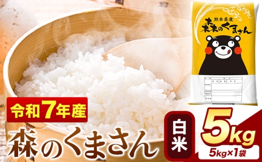 令和7年産 白米 森のくまさん 5kg × 1袋  熊本県産 単一原料米 森くま 送料無料《1-5日以内に出荷予定(土日祝除く)》