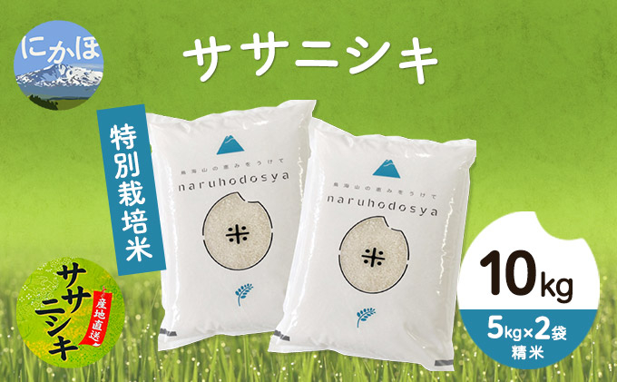 
令和4年産 秋田県産 特別栽培米 ササニシキ10kg（5kg×2袋 精米）
