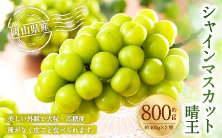岡山県産 シャインマスカット 晴王 約800g （ 約400g×2房 ） ぶどう ブドウ 葡萄 くだもの 果物 果実 フルーツ 国産 マスカット 【 2026年7月上旬～8月下旬発送予定 】
