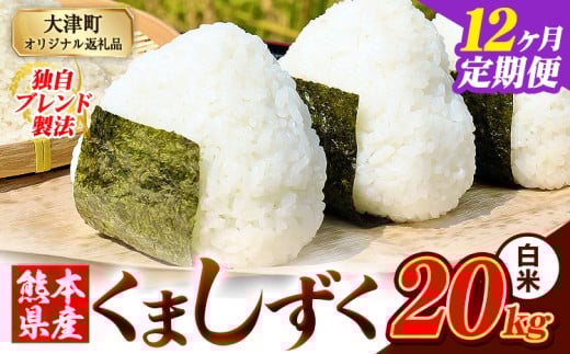 【12ヶ月定期便】白米 熊本県産 ブレンド米 くましずく 20kg 熊本県産 ふるさと納税 白米 精米 米 こめ ふるさとのうぜい コメ お米 おこめ《お申込月の翌月から出荷開始》