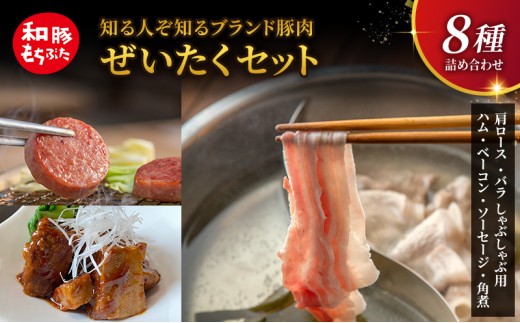 もちぶた 詰め合わせ 肩ロース バラ しゃぶしゃぶ 400g ハム ベーコン 角煮 セット 和豚 もち豚 豚肉 ポーク 肉 豚 ぶた 豚ロース バラ肉 加工肉 加工品 精肉 レトルト レトルト食品 アウトドア キャンプ バーベキュー 冷蔵 宮城