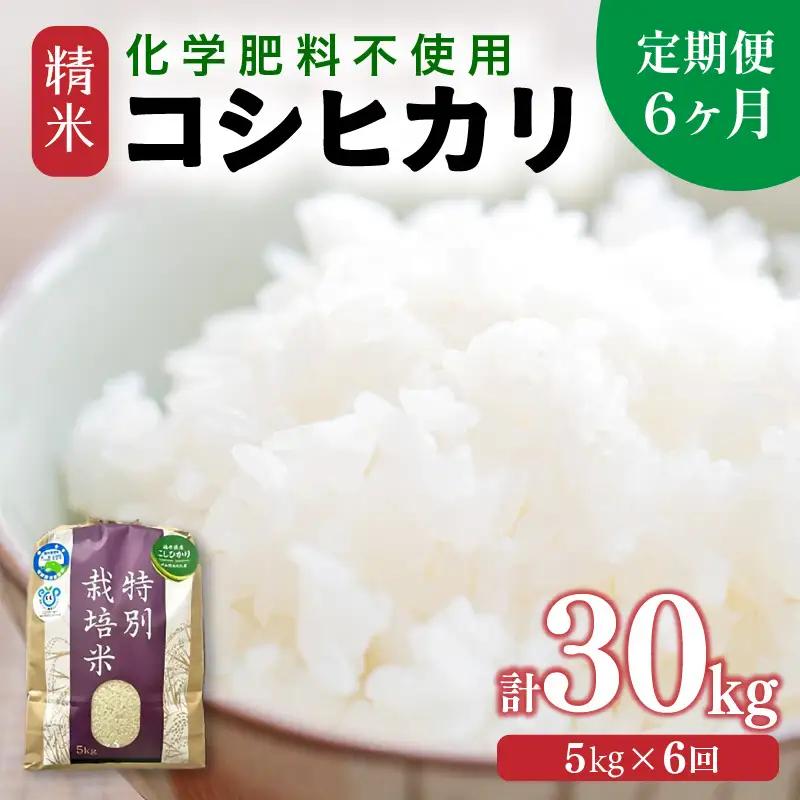 【先行予約】【令和8年産】【定期便6回】 化学肥料不使用コシヒカリ 精米 5kg×6回 （計30kg）/ 白米 米 福井県あわら市産 美味しい 特別栽培米 減農薬 安心な米 旨味 甘み もっちり エコファーマー こしひかり 冷蔵保管米 ※2026年10月上旬以降発送予定 [aw010-f021]