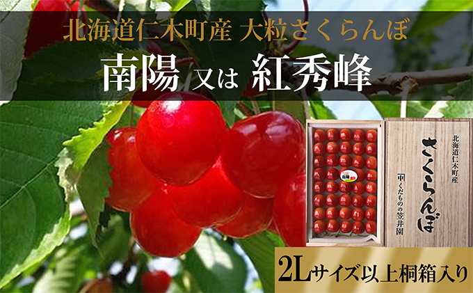 [先行予約] 北海道 仁木町産 さくらんぼ 贈答用（2Lサイズ以上）40粒前後 桐箱入り［くだものの笠井園］佐藤錦 又は 紅秀峰 【 サクランボ 果物 フルーツ チェリー 】