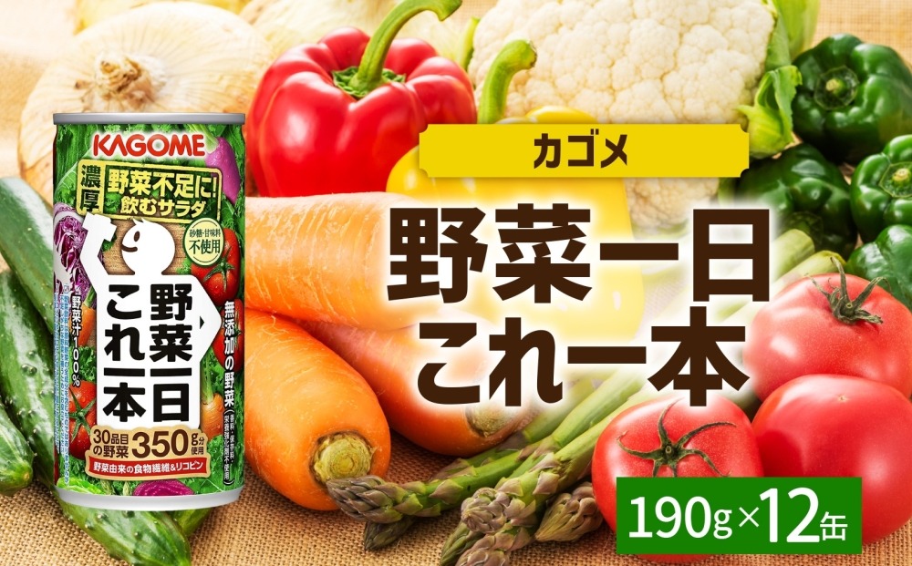 ns038-044　野菜一日これ一本190g×12