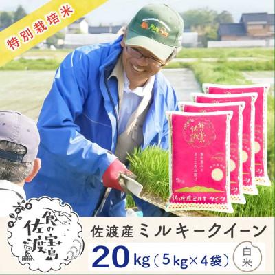 ふるさと納税 佐渡市 佐渡島産ミルキークイーン 精米20Kg(5Kg×4袋) 令和7年産 特別栽培米