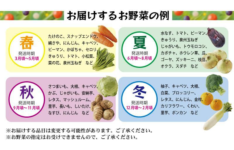 旬の野菜セット 詰め合わせ 15種類 国産 新鮮 お試し おまかせ お楽しみ 010B507_イメージ3