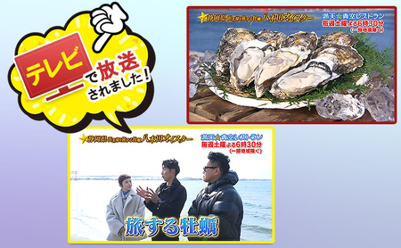 牡蠣 浜名湖産 大粒 むき身 500g 加熱用 八木田 海鮮 牡蠣