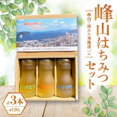 ふるさと納税 香川県 峰山ハチミツ中びん3本セット(高松景色箱入り)