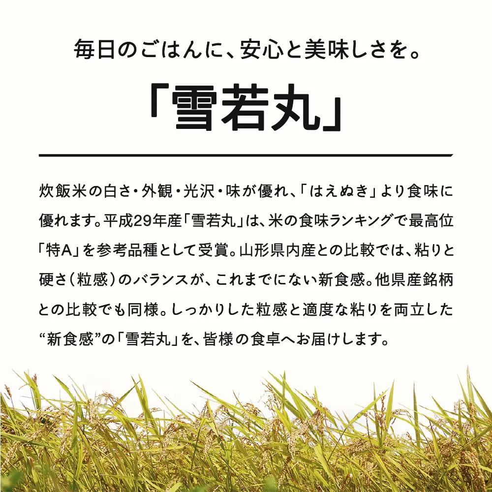 【先行予約】＜新米＞ 雪若丸 精米 20kg 2月中旬~2月下旬発送 国産 お米 山形県産 山形産  おすすめ 令和8年産 2026年産 沖縄・離島への配送不可 コメ こめ はくまい 白米 米 tf-