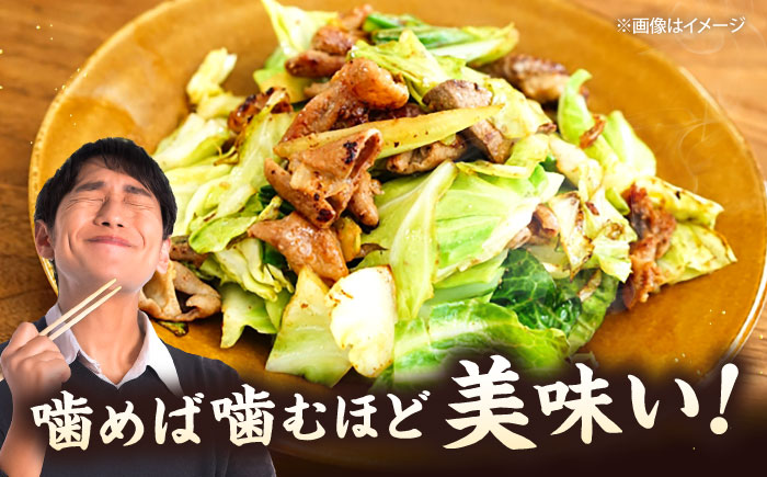 みの吉ホルモン 計600g（300g×2パック）《厚真町》【有限会社市原精肉店】 ほるもん ミノ 豚肉 焼肉 BBQ 味付き 味付きホルモン 味付けホルモン 小分け 冷凍 北海道 [AXAA031]