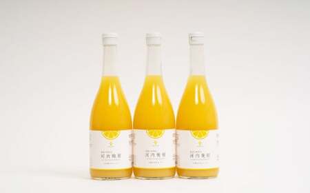 無添加 果汁100％ 河内晩柑ジュース 720ml×3本入 晩柑 柑橘 みかん 蜜柑 ミカン 飲料 ジュース 100％ 愛媛みかん 愛媛県産 【2025年12月上旬まで発送予定】【えひめの町（超）推し！（愛南町）】（576）