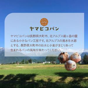 自家製酵母おたのしみパンセット80サイズ≪隔月定期便全６回≫ | パン 長野 信州