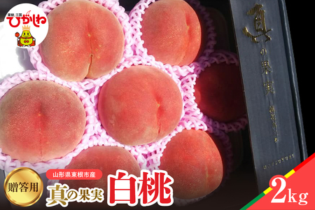 【2026年産】真の果実 贈答用 白桃2kg 松栗提供 山形県 東根市 hi062-055　（山形県 東根市 東北 果物 フルーツ くだもの もも 桃 白桃 ピーチ 品種おまかせ 箱入り 化粧箱 期間限定 冷蔵配送 先行受付 令和8年産 取り寄せ グルメ ご当地 特産直送 送料無料 ふるさと納税）