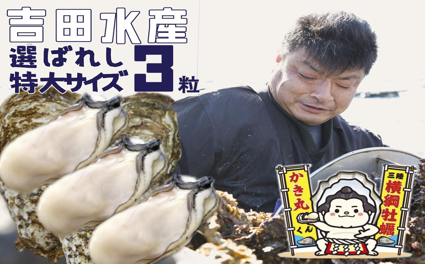 
            【先行予約】 横綱牡蠣！吉田水産の選ばれしむき身牡蠣 特大サイズ 3粒 数量限定 加熱用〈2026年1月以降発送〉【 むき身 牡蠣 大粒 特大 カキ むき身 かき 冷蔵 三陸 リアス海岸 広田湾 3年牡蠣 】RT2266
          