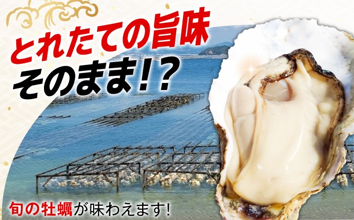 牡蠣 生食用 むき身 かき カキ 冷凍 広島牡蠣 オイスター kaki 広島県産