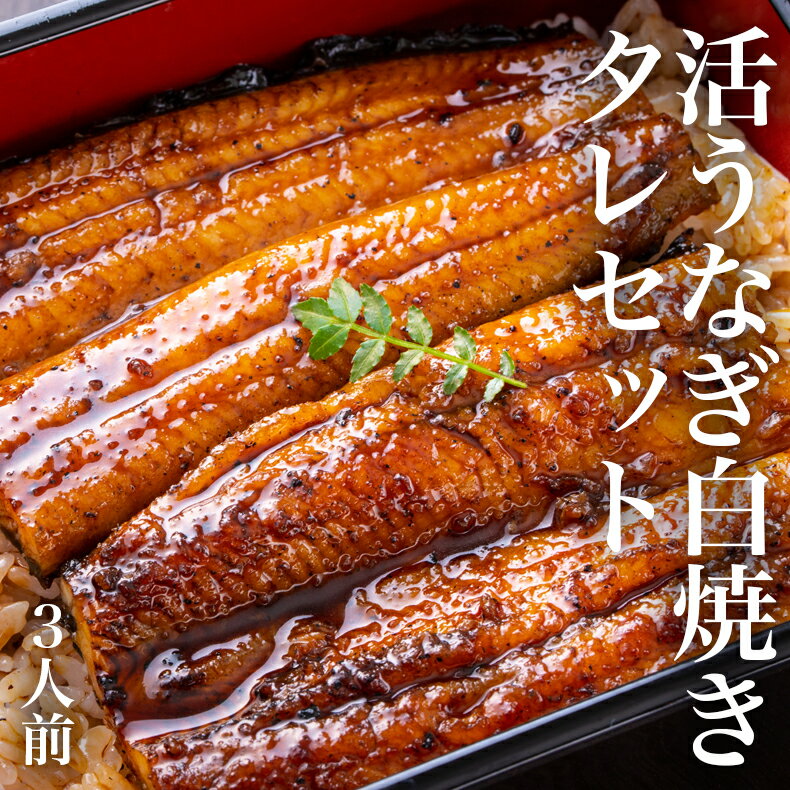 【ふるさと納税】鰻 国産うなぎ 3人前 白焼きセット（約110g×3串）タレ付き 冷蔵 土用丑の日 国産 白焼 蒲焼き 鰻重 鰻丼 ひつまぶし 活うなぎ ウナギ うなぎ 鰻 お取り寄せ グルメ 簡単調理 父の日 ギフト 宮城県 石巻市 送料無料